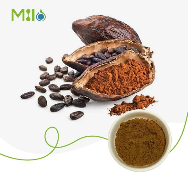 Bột chiết xuất ca cao