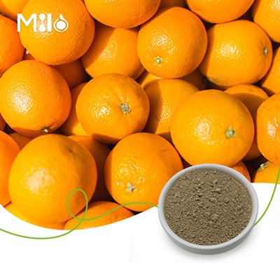 Bột chiết xuất cam quýt