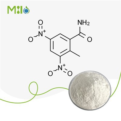Bột Dinitolmide