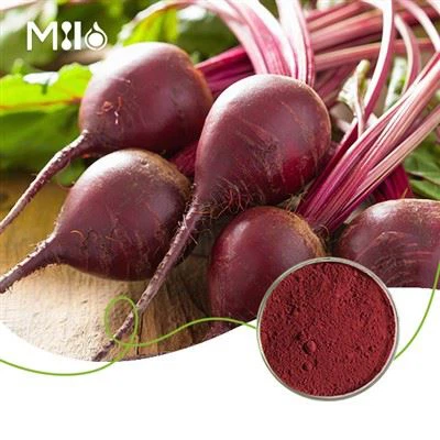 Bột củ dền đỏ